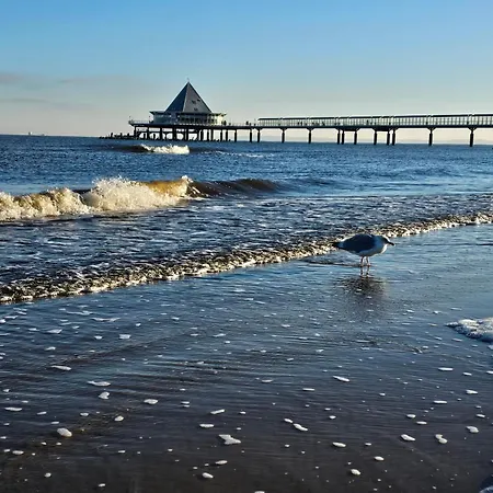 Dünenweg 15a Whg 01 Apartment Ostseebad Heringsdorf